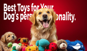 How to Choose the Best Toys for Your Dog’s Personality