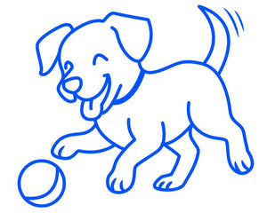 Collection image for: Dog Toys