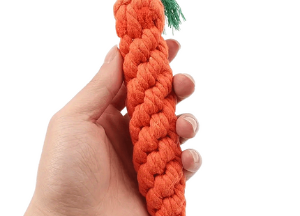 Hundefutterspielzeug in Karottenform