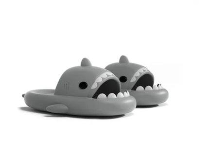 Shark Slides - Cartoon Design