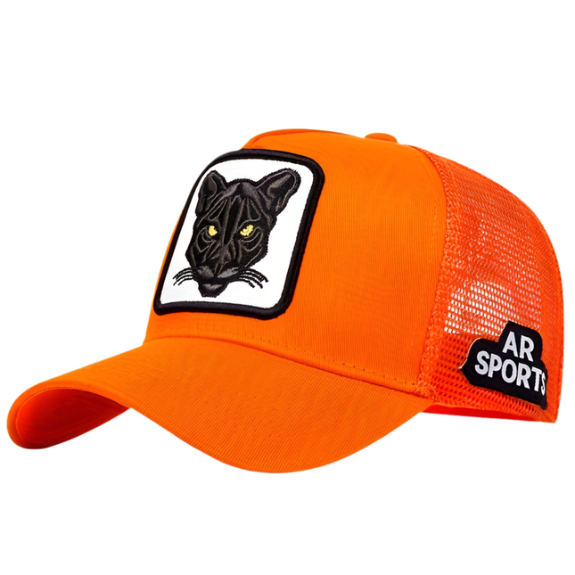 Embroidered Panther baseball cap (Adjustable)