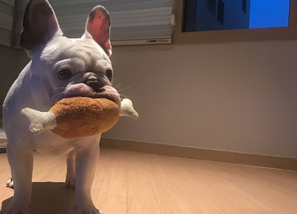 Squeaky plushy Dog Toy (Chicken Wing) - WSGenie